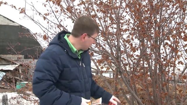 КОНСУЛЬТАНТ САДОВОДА 102 смотреть онлайн