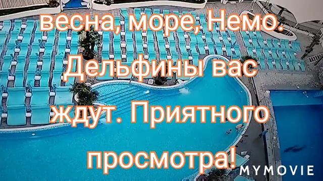 Одесса, весна. Тренировка дельфинов. Дельфинарий Немо. Пляж Ланжерон. Черное море. смотреть онлайн