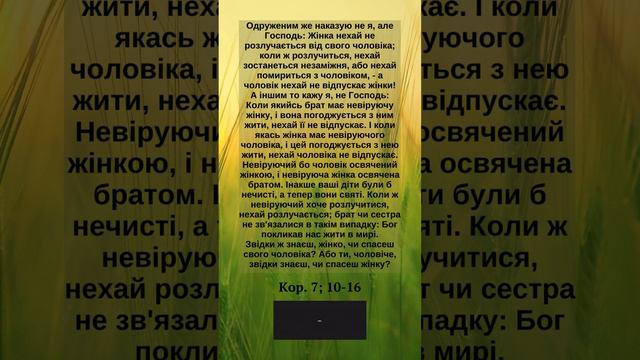 "Одруженим же наказую не я, але Господь..." #святий #духовность #вечірнямолитва   #біблія #одруженн