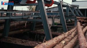 Обзор работы автоматической Линии сортировки бревен KRAFTER LLS LIGHT | Как повысить эффективность