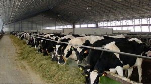 §14 "Сельское хозяйство. Животноводство", География 9 класс, Полярная звезда.mp4