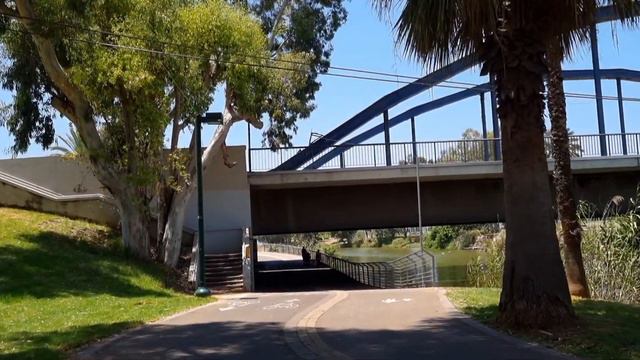Paradise for nature lovers: a walk along the left bank of the Yarkon River смотреть онлайн