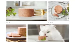 Purina Gourmet Mousse Pate