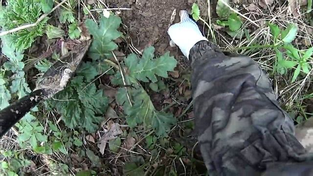 Раскопки с металлоискателем Garrett Apex и Nel Tornado в весеннем лесу! смотреть онлайн