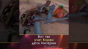 Как учат Коран дети Нигерии