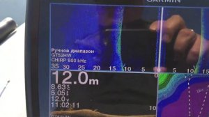 Гармин Страйкер 9 Вивид палитра "прожектор" (4) #ГарминСтрайкерВивид