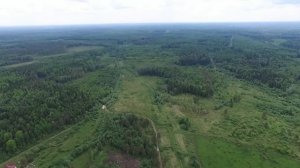 Дружная Горка и её окрестности,30 мая 2016,2-я часть.