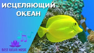 Музыка для сна и отдыха. Красота подводного мира. Исцеляющий океан