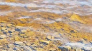 Рыбалка в пригороде г. Советский. Речка Гороховка, Выборгский залив