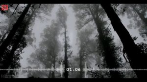 NO COPYRIGHT Cinematic Trailer Background Music (Dark, Thriller, Scary, Horror)