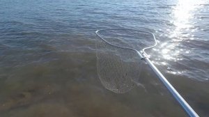 Егорлыкское водохранилище. Ставропольский край. Рыбалка с 11 на 12 июня 2022г. Клювал лещь 1-3кг