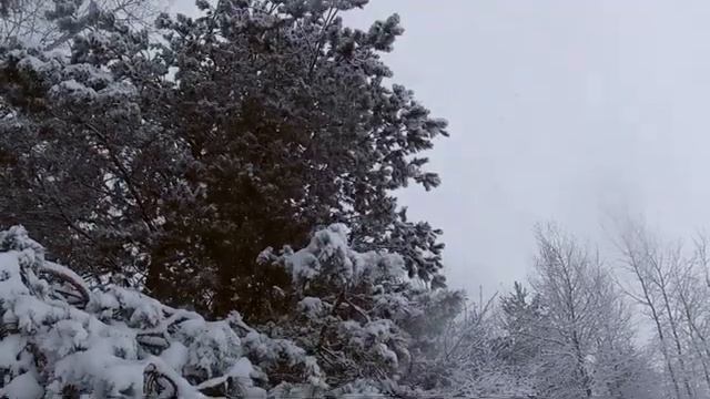 Зимний поход выходного дня на Матырское водохранилище 11.01.2020 (YI lite action cam)