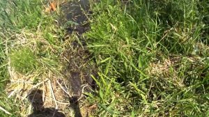 ВЛОГ: ДЕШЁВЫЙ ПИРС СВОИМИ РУКАМИ