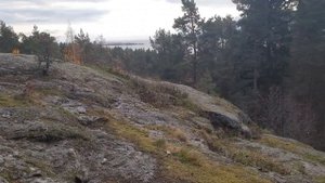 КАРЕЛИЯ.Урочище Чертов Стул