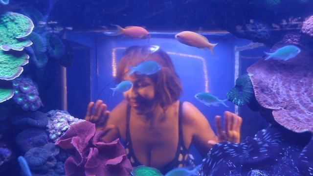 Красоты Красного моря! Обсерватория, Эйлат смотреть онлайн