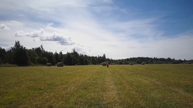 Укрощение снопа! смотреть онлайн