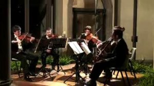 W.A.Mozart - Clarinet Quintet K581 cl.Vincenzo Paci 3/4 (Minuetto)