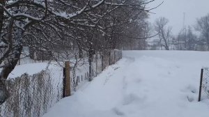 Стихотворение Дмитрий Веневитинов Жизнь  Читает В Терехов