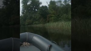 Риб буревестник ч.3