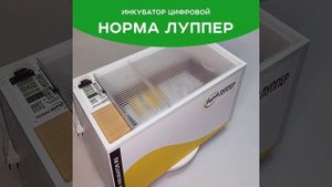 Инкубатор Блиц Норма 72 (Луппер)