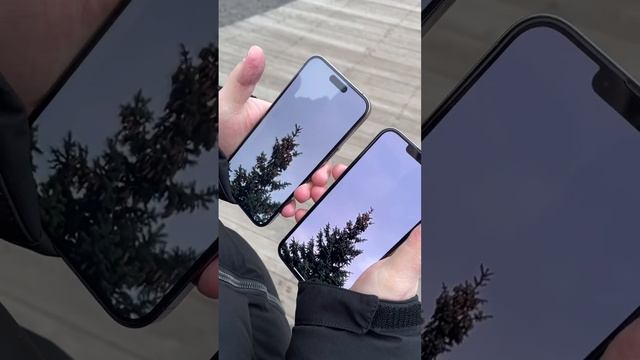 Сравнение камер iPhone 14 pro max и 13 Pro Max.