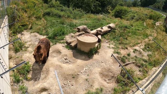 Pulsar Helion 2 XP 50 - ein Besuch im Wildpark смотреть онлайн