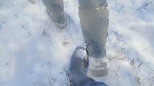 Зимние сапоги NORA THERMIC+ green