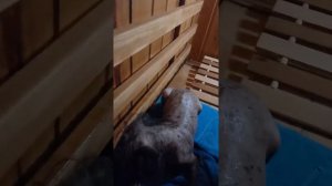 китаянка в бане