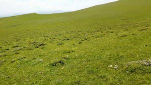 Гунибское плато, и гора Маяк. Поход на гору Маяк, верхний Гуниб, Дагестан.