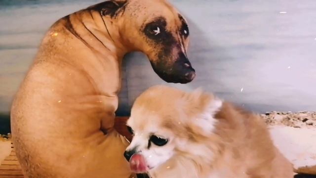 Реалистичная "Собака – подушка" с AliExpress (Китай, плюшевая, мягкая, игрушка, как Живая) смотреть онлайн