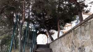 Пляж «Дельфин» Ливадия и дорога обратно. Ялта. Крым. 27.04.21. Crimea. Yalta.