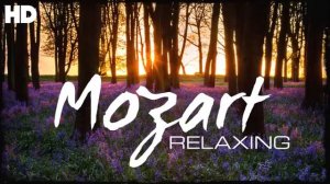 The Best Relaxing Classical Music Ever By Mozart - Relaxation Meditation Reading Focus.mp4