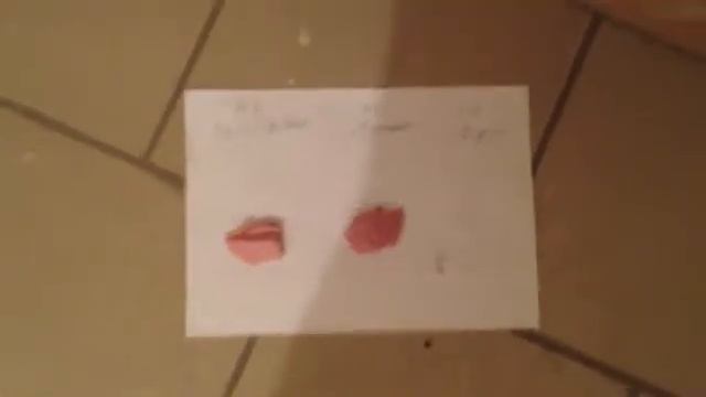 Кошкотест колбасы, или какую колбасу выберет кот. смотреть онлайн