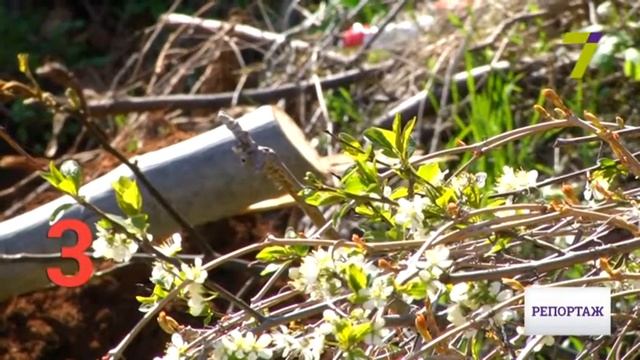 Топ-5 проблем Одессы: Рейтинг 7 канала смотреть онлайн