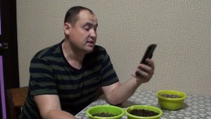 Субстрат для растений Лечуза Терра пон. Сменили состав, а зачем?