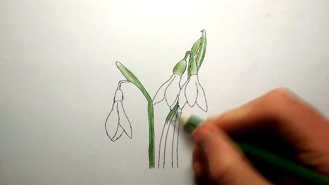 Как Просто Нарисовать Подснежники