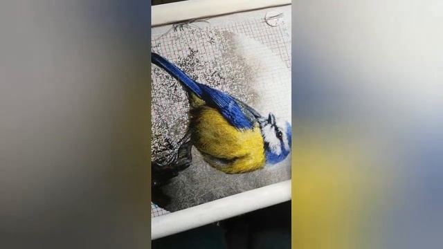 #50 Синичка от Аннаяке // Октябрь // Кому нужны СХС? Налетай! // #Влог // #ДиноПарк #АннаПарамонов смотреть онлайн