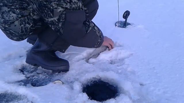 Вот это водоём! Поклёвка за поклёвкой! Клёвый, щучий день! смотреть онлайн