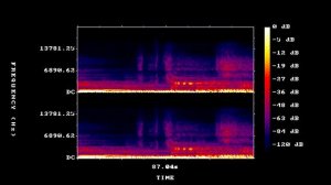 Серенада Трубадура