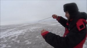 Что Было Дальше /Рыбалка в кругу Хороших Людей/тест драйв Мотобуксировщика Нева 2м-1к Самый дешёвый