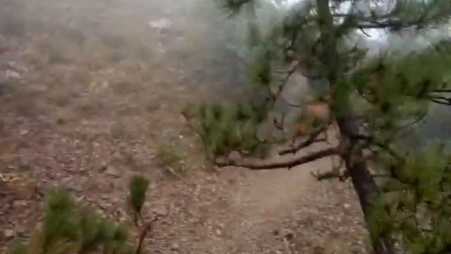 Крым горы. Ай петри. Пешком с гор смотреть онлайн