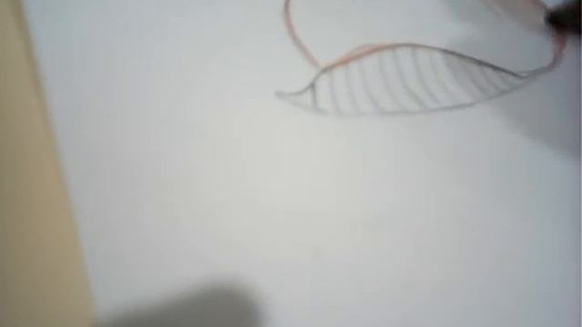 Как нарисовать лемура смотреть онлайн