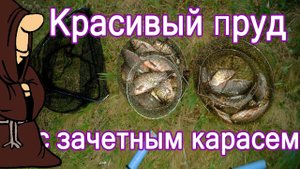 Ловля Карася на пруду моего детства, рыбалка на карася с берега на донки