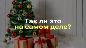 НА НОВЫЙ ГОД ВСЕ ВСЕМ МИРЕ УКРАШАЮТ ЕЛКИ I РАЗБОР МИФА ПРО НОВОГОДНИЕ ЕЛКИ