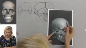 Череп от А до Я. Дарья Остапенко о том, как правильно рисовать череп человека