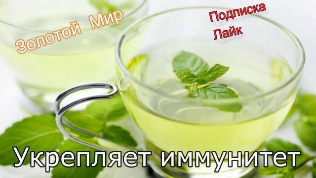 ЧТО БУДЕТ, ЕСЛИ ПИТЬ МЯТНЫЙ ЧАЙ КАЖДЫЙ ДЕНЬ смотреть онлайн