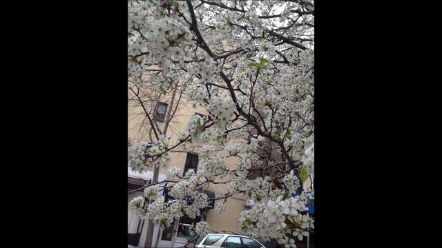 В'ється стрімко ввись смотреть онлайн