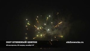салют ОГНЕННЫЙ ЦВЕТОК (49 залпов/калибр 0,8)