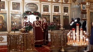 Патриарший протодиакон Константин Барган читает Евангелие в день памяти Новомученоков Быковских.