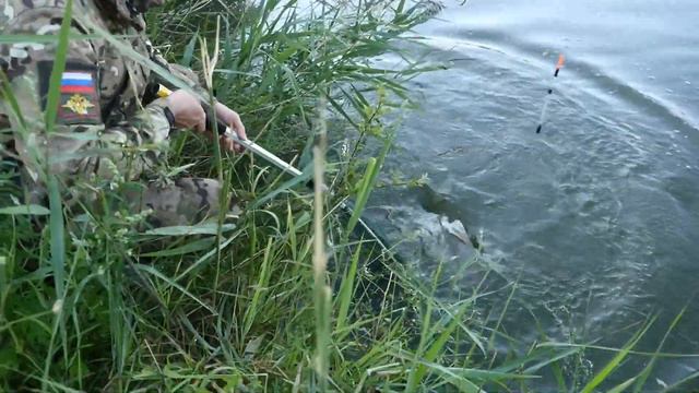 Забрели на дикий водоем смотреть онлайн